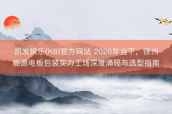 凯发娱乐(K8)官方网站 2026年当下，徐州能源电板包装实力工场深度涌现与选型指南