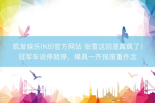 凯发娱乐(K8)官方网站 张雪这回是真疯了！冠军车说停就停，模具一齐报废重作念