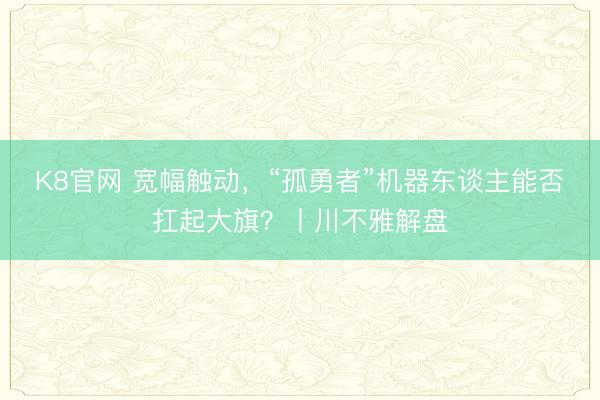 K8官网 宽幅触动，“孤勇者”机器东谈主能否扛起大旗？丨川不雅解盘