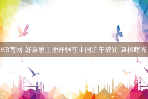 K8官网 好意思主播怀恨在中国泊车被罚 真相曝光
