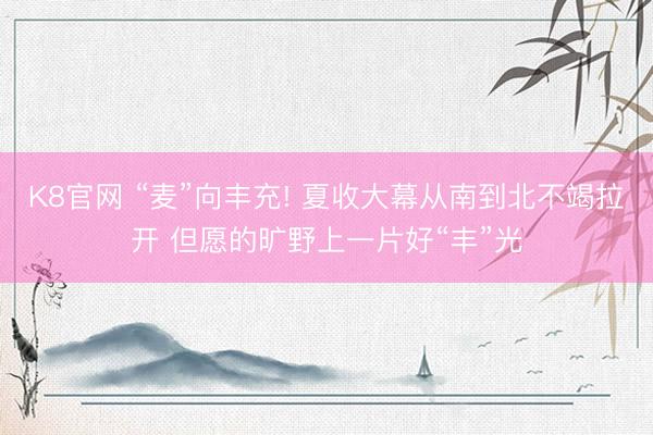 K8官网 “麦”向丰充! 夏收大幕从南到北不竭拉开 但愿的旷野上一片好“丰”光
