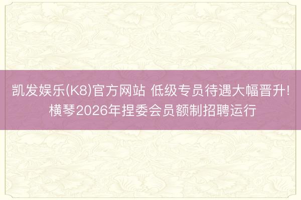 凯发娱乐(K8)官方网站 低级专员待遇大幅晋升! 横琴2026年捏委会员额制招聘运行