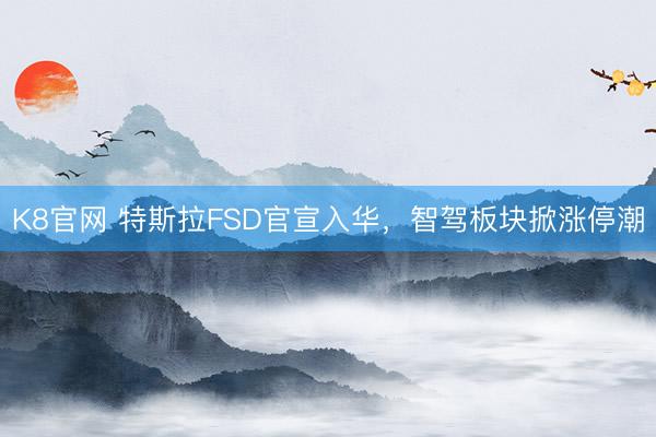 K8官网 特斯拉FSD官宣入华，智驾板块掀涨停潮