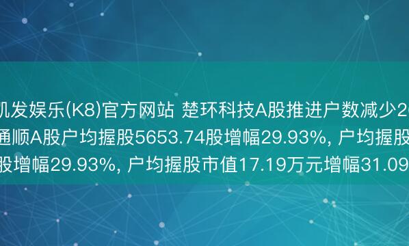 凯发娱乐(K8)官方网站 楚环科技A股推进户数减少2611户降幅23.03%， 通顺A股户均握股5653.74股增幅29.93%， 户均握股市值17.19万元增幅31.09%