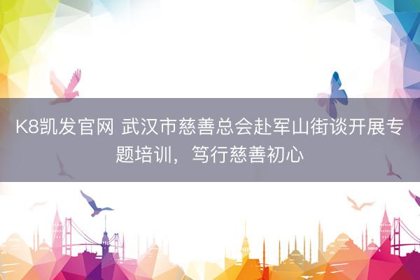 K8凯发官网 武汉市慈善总会赴军山街谈开展专题培训，笃行慈善初心