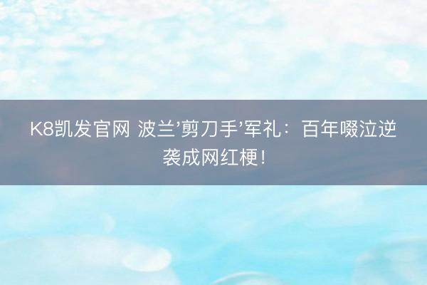 K8凯发官网 波兰'剪刀手'军礼：百年啜泣逆袭成网红梗！