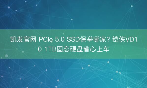 凯发官网 PCIe 5.0 SSD保举哪家? 铠侠VD10 1TB固态硬盘省心上车